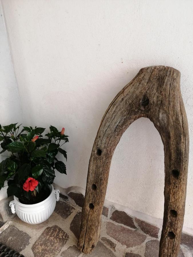 B&B Mario Relais Sorrento Esterno foto